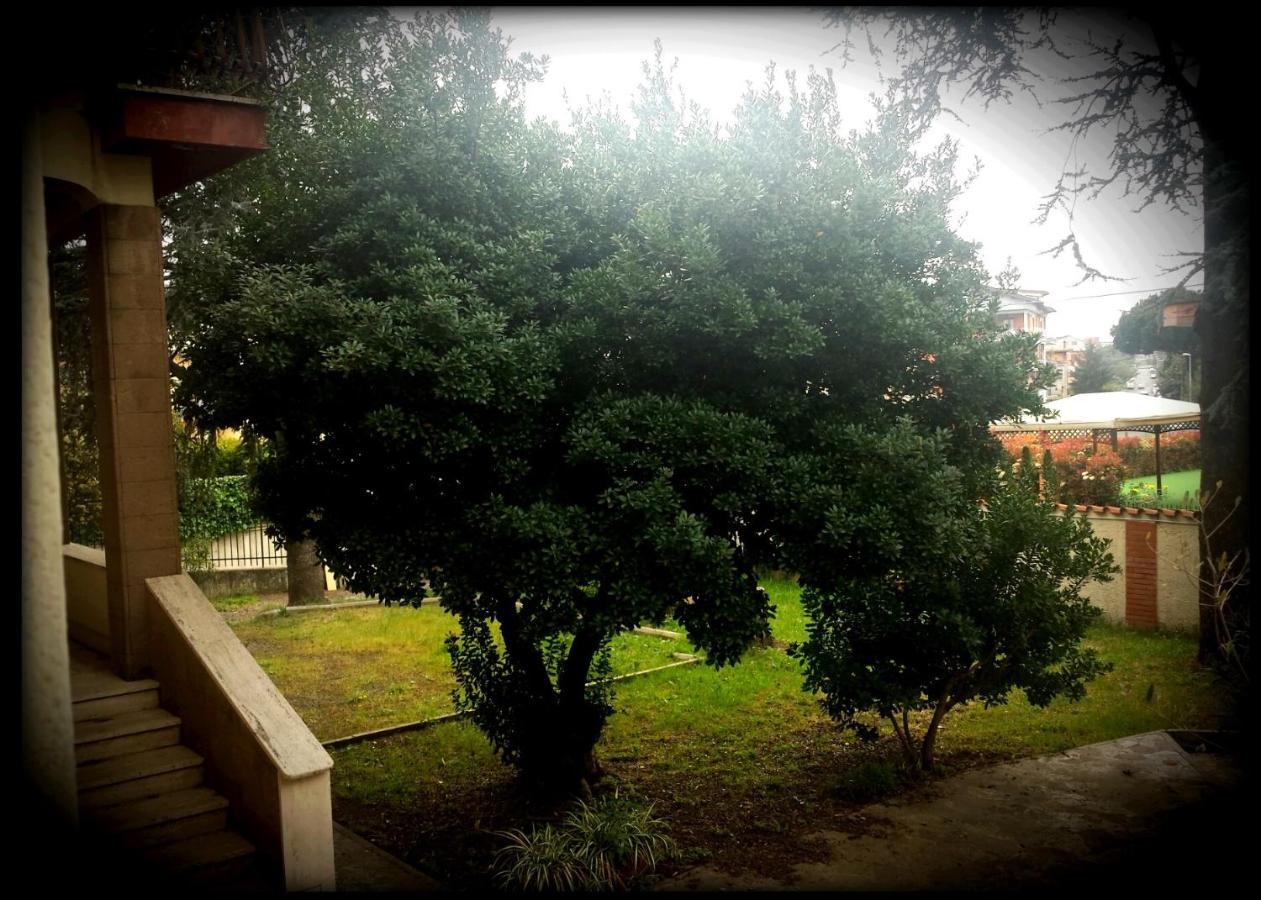 فندق La Casa Degli Oleandri روما المظهر الخارجي الصورة